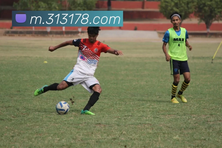 开云线上平台生态图